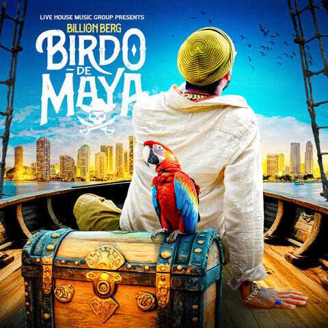 Birdo De Maya album art