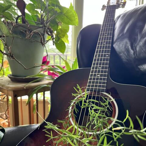Acoustic Taylor album art
