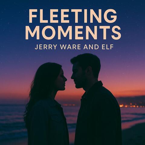 Fleeting Moments album art
