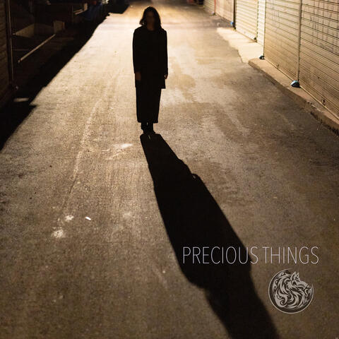 Precious Things album art