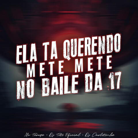 Ela Ta Querendo Mete Mete No Baile Da Dz7 album art