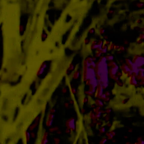 . ...- . .-. -.-- - .... .. -. --. / .. ... / -. --- - .... .. -. --. album art
