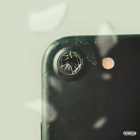 Bird Brain album art