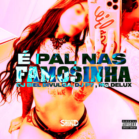 É Pal Nas Famosinha album art