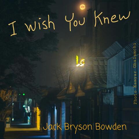 I Wish You Knew album art