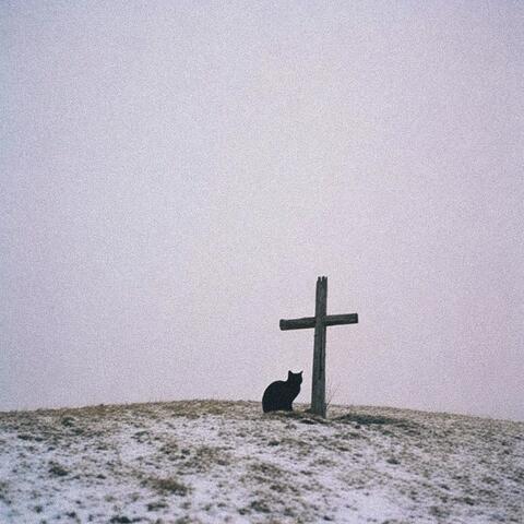 Trustfall album art