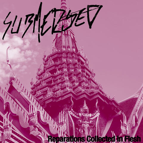 Reparations Collected In Flesh album art
