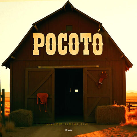 POCOTÓ album art