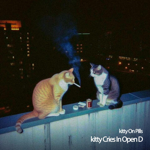Kitty Cries In Open D album art