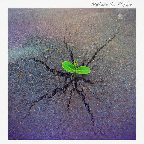 Nature to Thrive album art