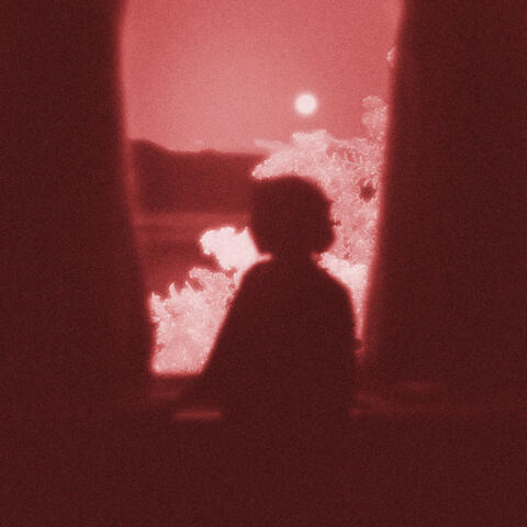 i have nobody album art
