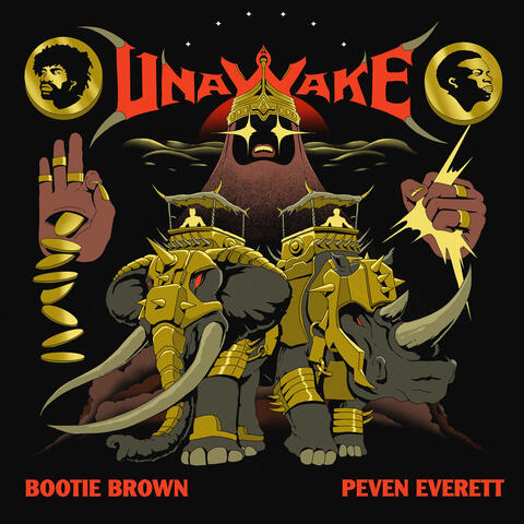 Unawake album art