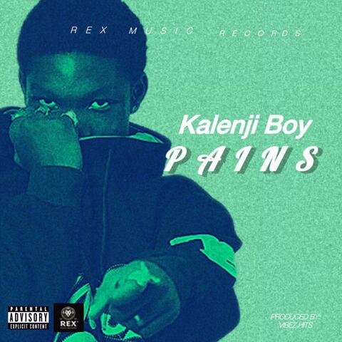 Pains album art