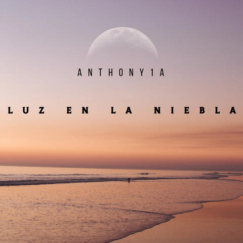 Luz en la Niebla album art