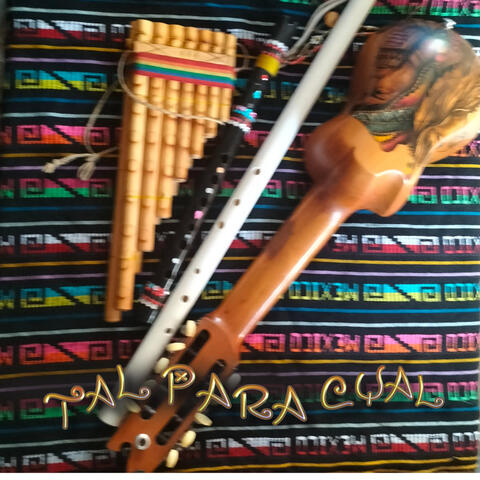 TAL PARA CUAL album art