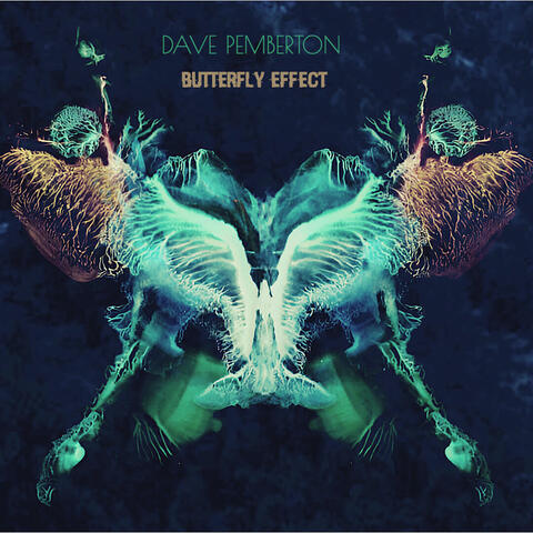 The Butterfly Effect album art