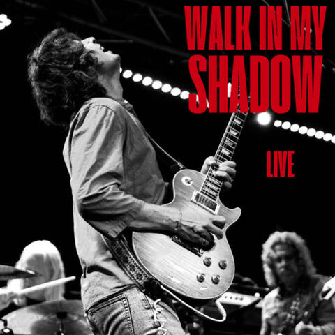 Walk In My Shadow album art