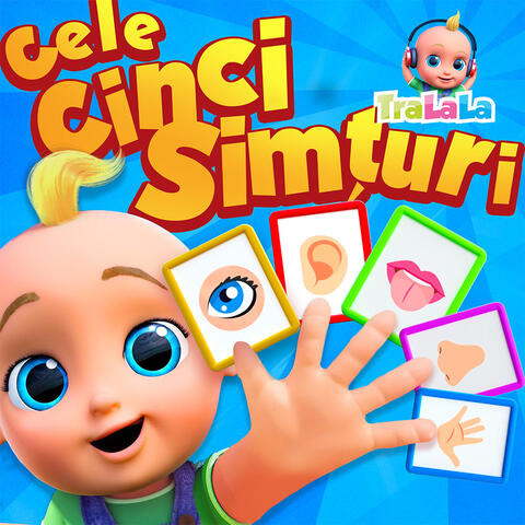 Cele cinci simțuri album art