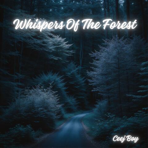 Whispers Of The Forest album art