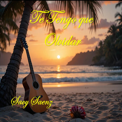 Te Tengo que Olvidar album art