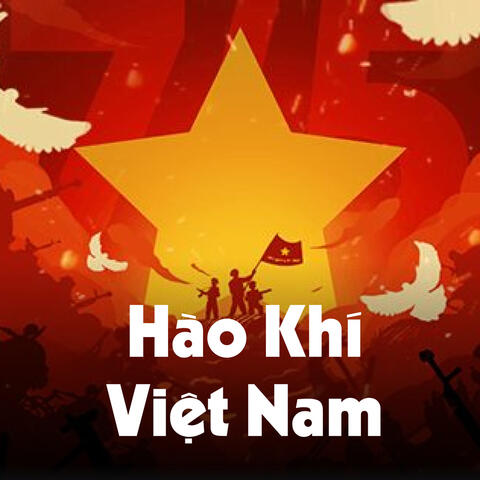 Hào Khí Việt Nam album art