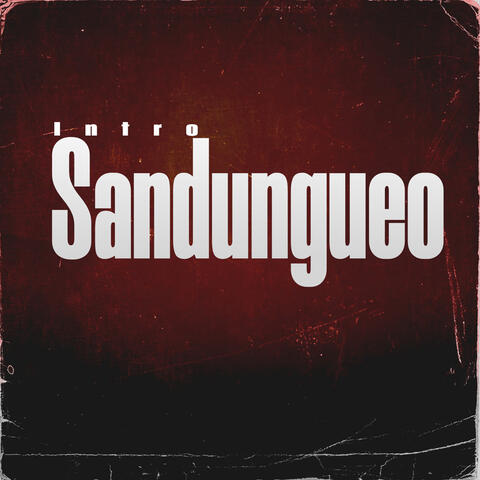Intro Sandungueo album art