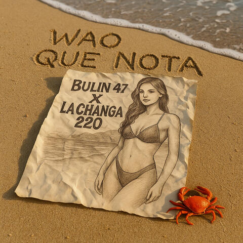 Wao Que Nota album art