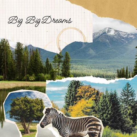 Big Big Dreams album art