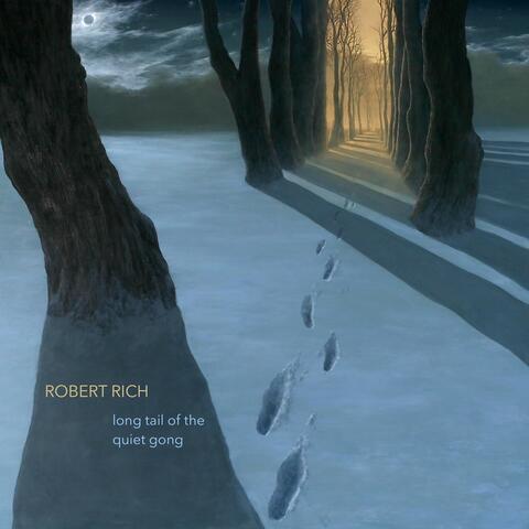 Long Tail of the Quiet Gong album art