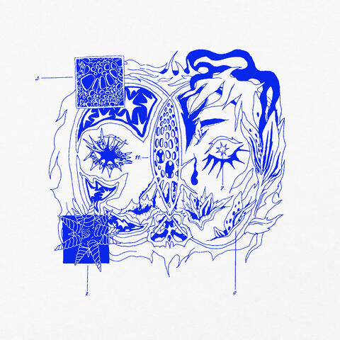 Blue Field album art