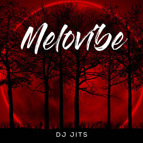 Melovibe album art