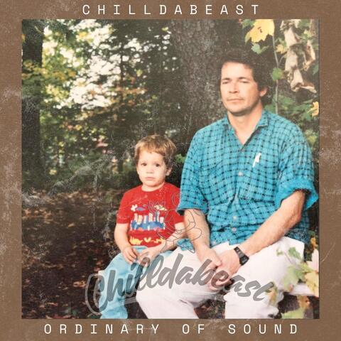 Ordinary Of Sound album art