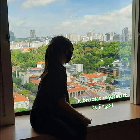 it breaks my heart album art