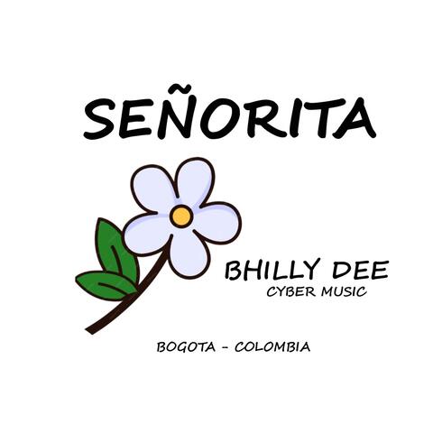 Señorita album art