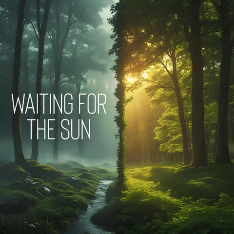 Waiting for the Sun album art
