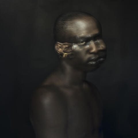 D2M album art