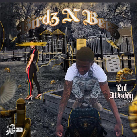 Birdz N Beez album art