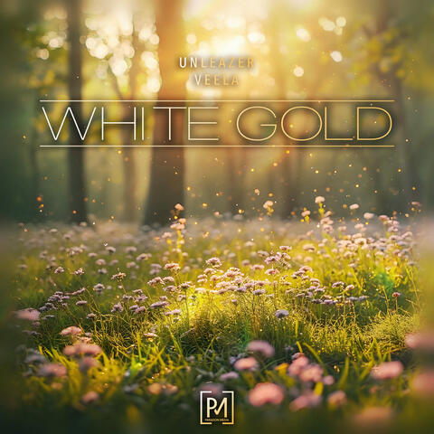 White Gold album art