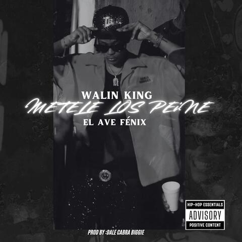 METELE LOS PEINE album art