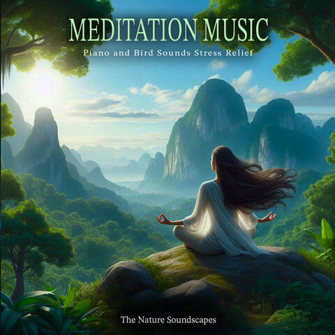 Meditation Music - Piano and Bird Sounds Stress Relief album art