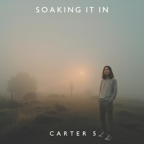 Soaking It In album art