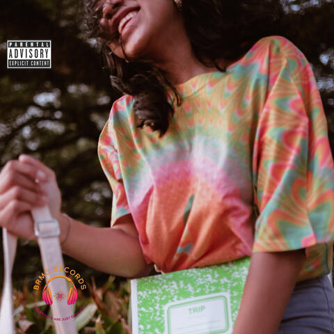 Take a Trip album art