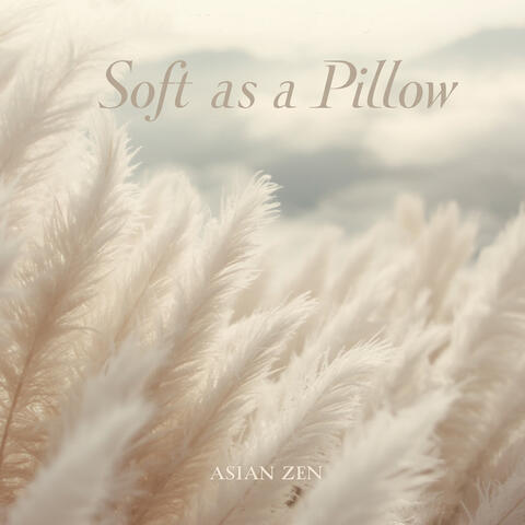 Soft As A Pillow album art