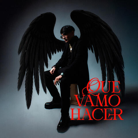 Que Vamo Hacer album art
