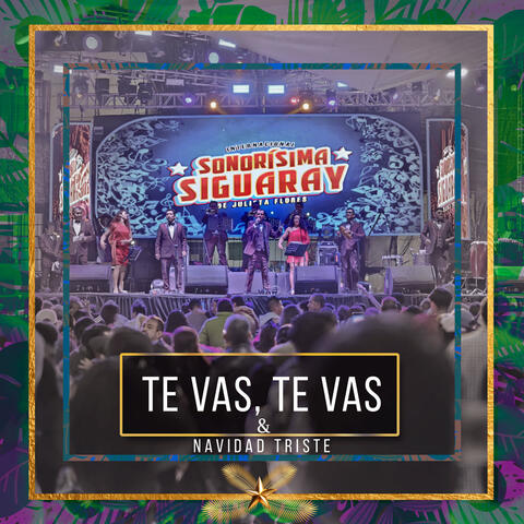 Te vas, Te vas album art