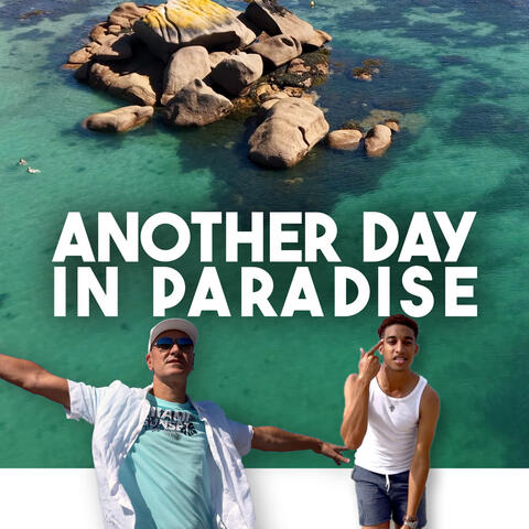 Another Day in Paradise album art