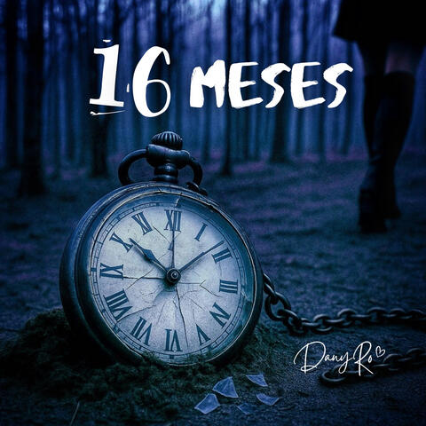 16 MESES album art