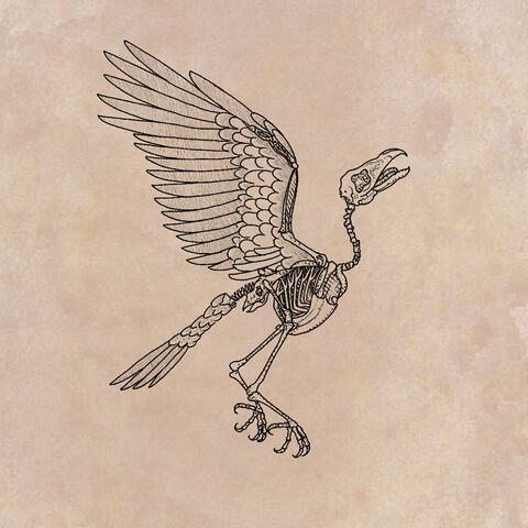 firebrush album art