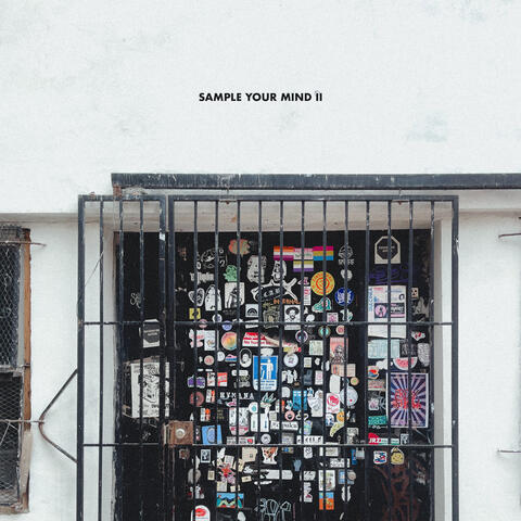 Sample Your Mind II album art