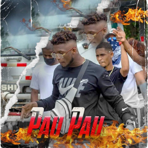 PAU PAU album art